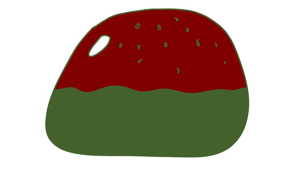 A cartoon image of a little bun.